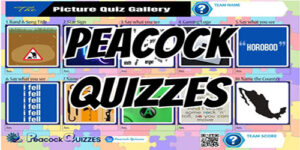 Puzzles 3