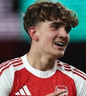 Peacock Quizzes Free Picture 4